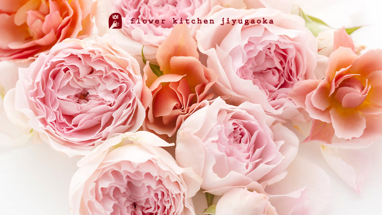 バラのおはなし