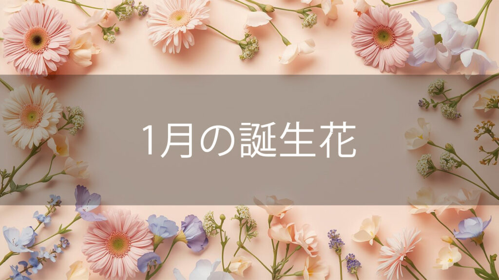 1月の誕生花と花言葉まとめ｜31日毎の花言葉と冬の花を長持ちさせるコツ