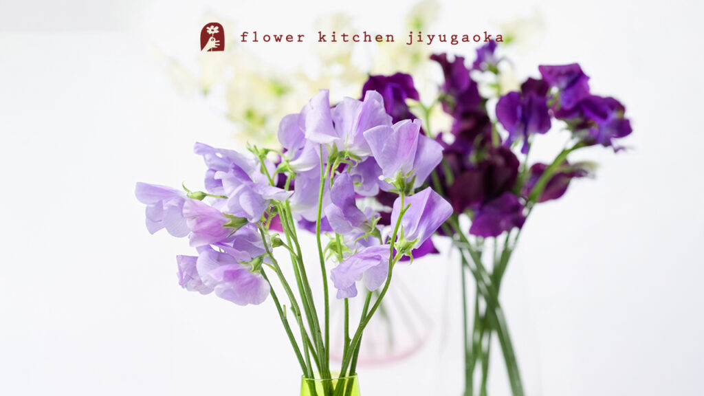 スイートピーのおはなし