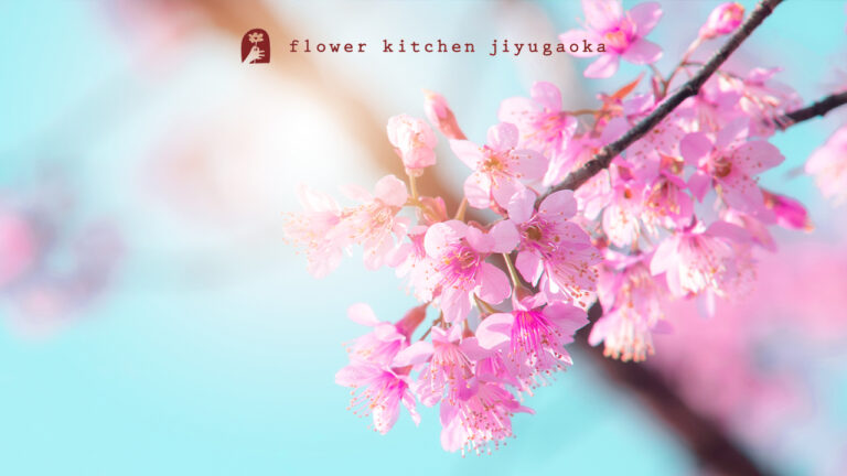 入学祝いの花選びで迷わない！相場・マナー・メッセージ例文