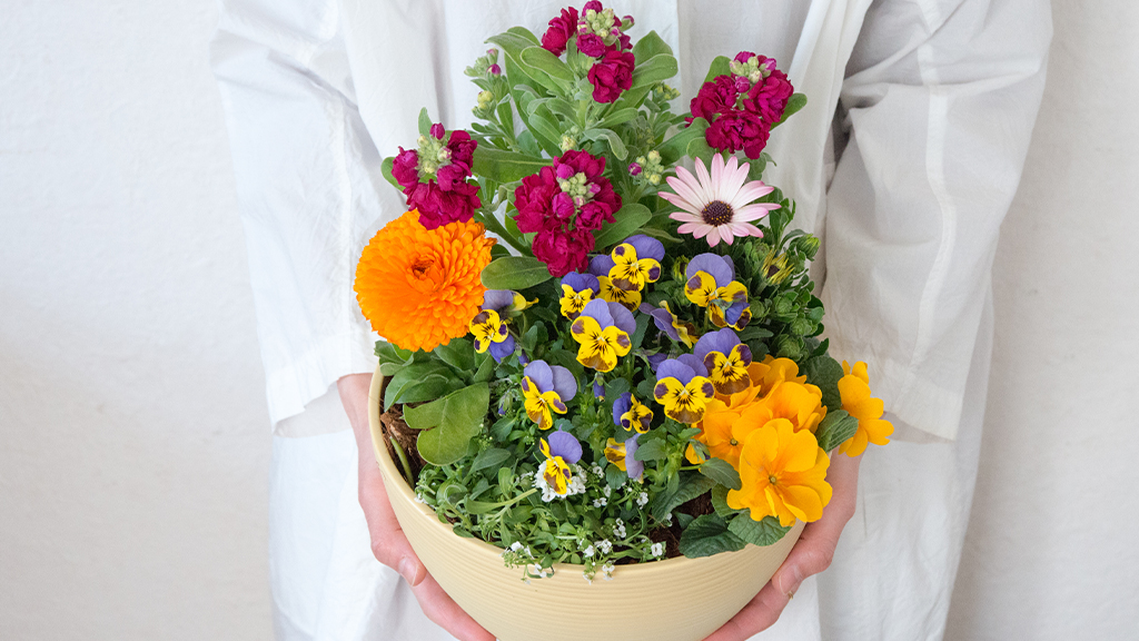 FKオリジナル寄せ植え