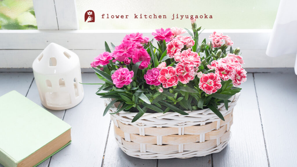 母の日プレゼント【50代のお母さんへ】3,000〜7,000円で喜ばれるフラワーギフト｜2026年最新