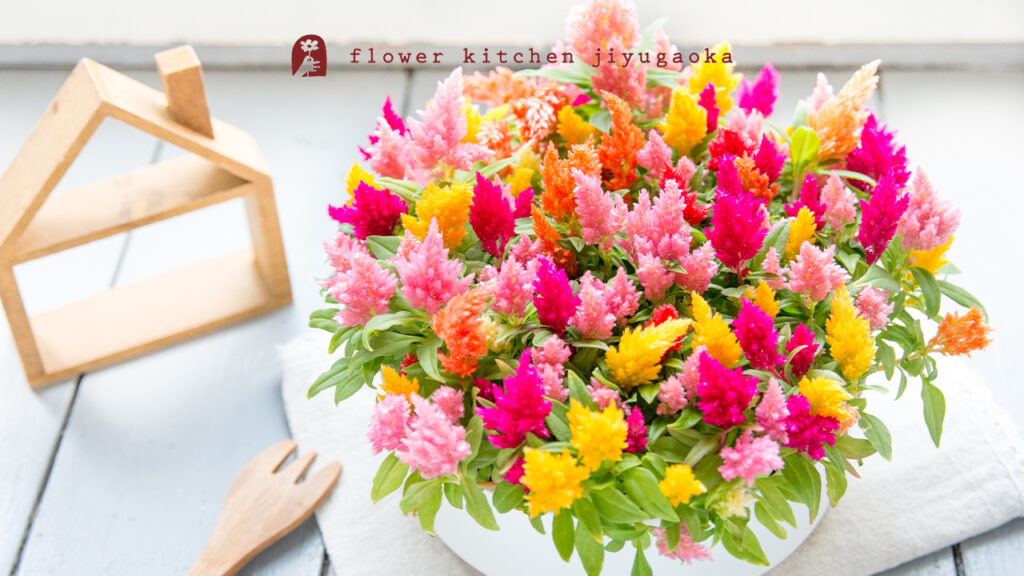 妻・パートナーへの母の日ギフト｜花で伝える「ありがとう」【2026年】