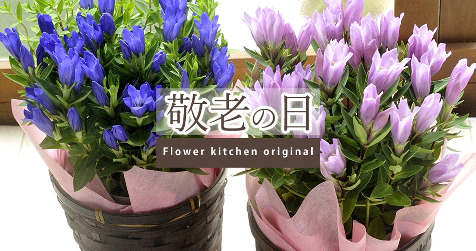 敬老の日フラワーギフト特集を見る